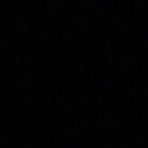 Meet your Posher, Selena